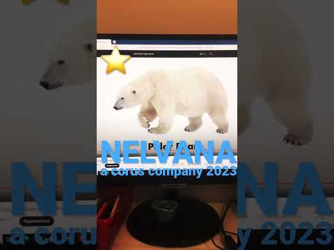Nelvana Logo But It S Polar Bear 