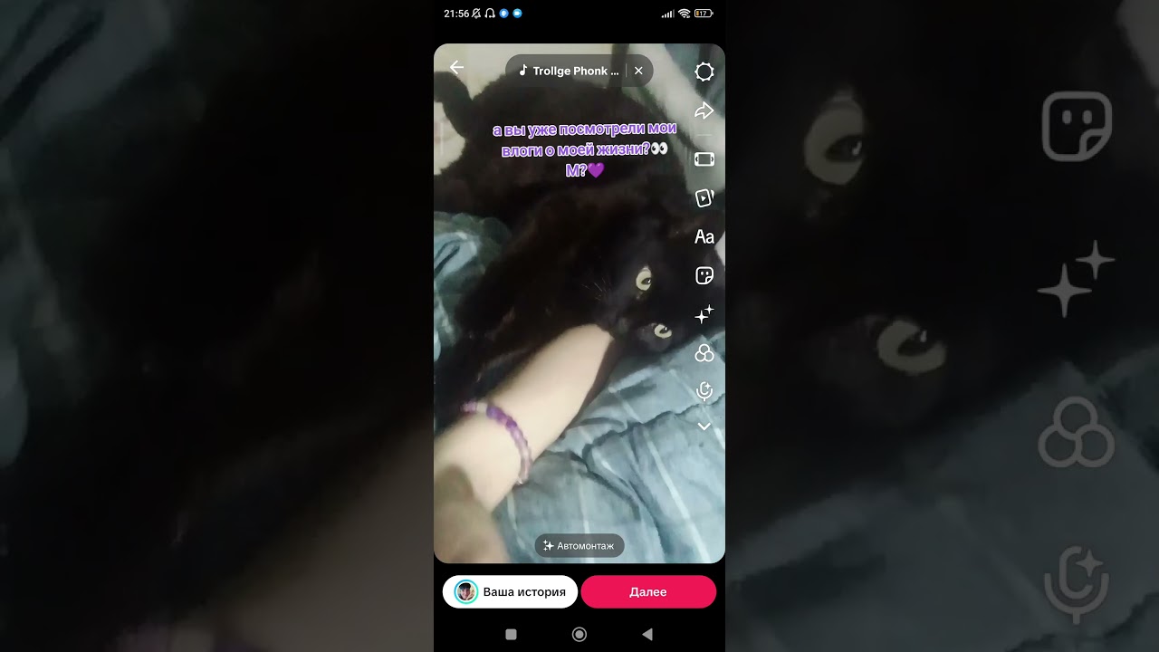 #видеодневник