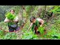 Sarmila and her daughter anuma finding fiddlehead fern curry bhumicooking