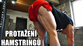 JAK PROTÁHNOUT HAMSTRINGY / ZADNÍ STEHNA | STREČINK DÍL #16