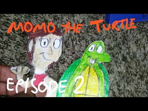 Momo the Turtle: The Years Serks - YouTube