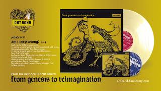 The Ant Band Am I Very Wrong