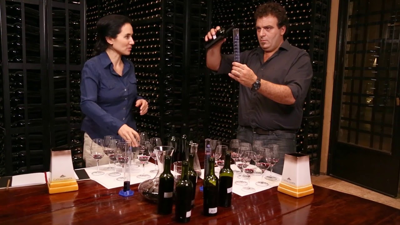 James Suckling le dio puntaje perfecto para 5 vinos de Argentina