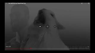 Gigachad Cat But Cat Cover Malow Meme Cover