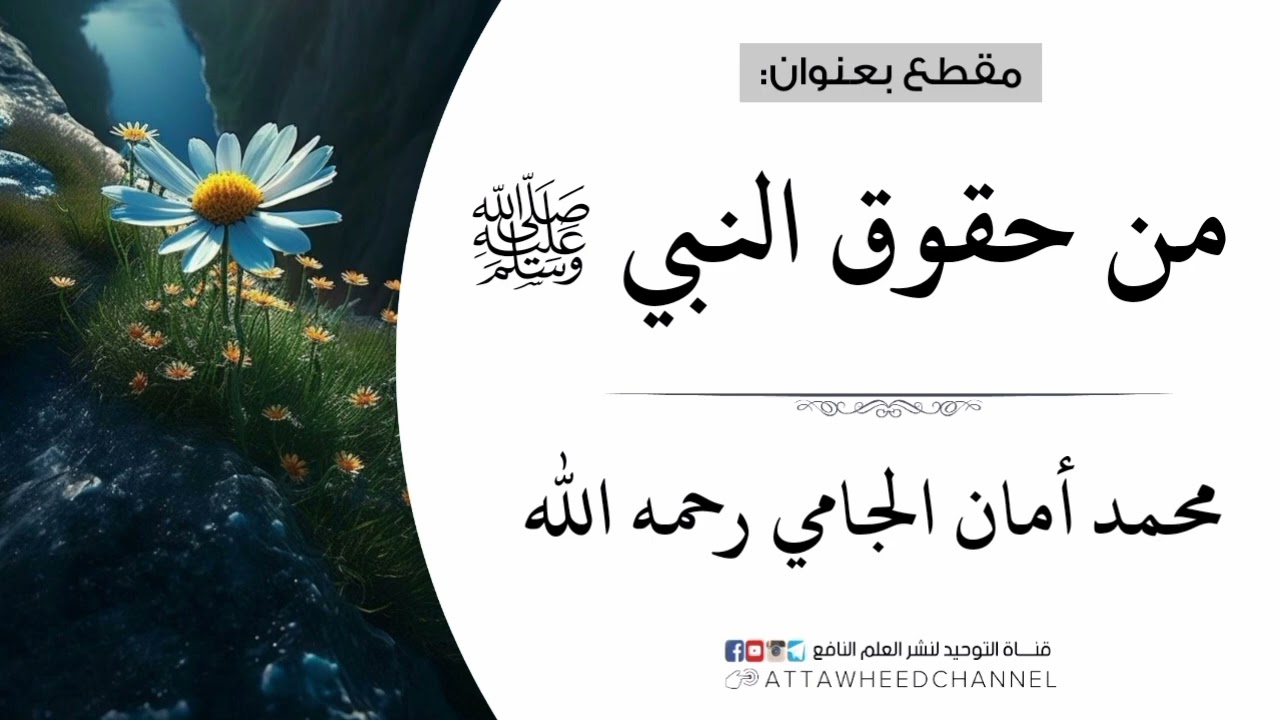 من حقوق النبي صلى الله عليه وسلم _ محمد أمان الجامي رحمه الله