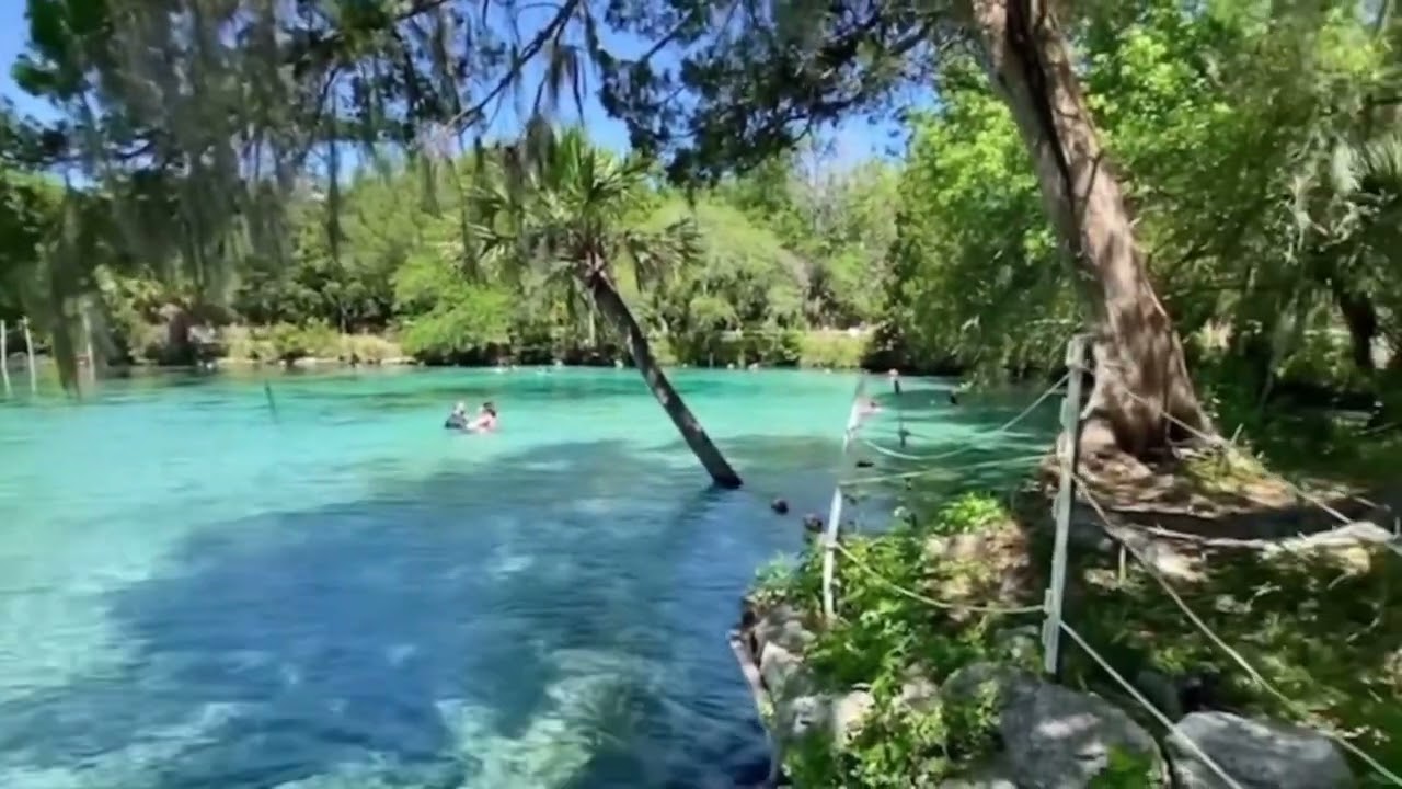 Hidden Gem in Ocala Florida