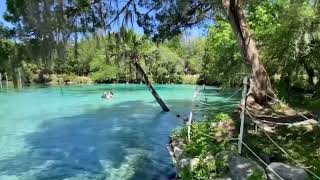 Hidden Gem in Ocala Florida