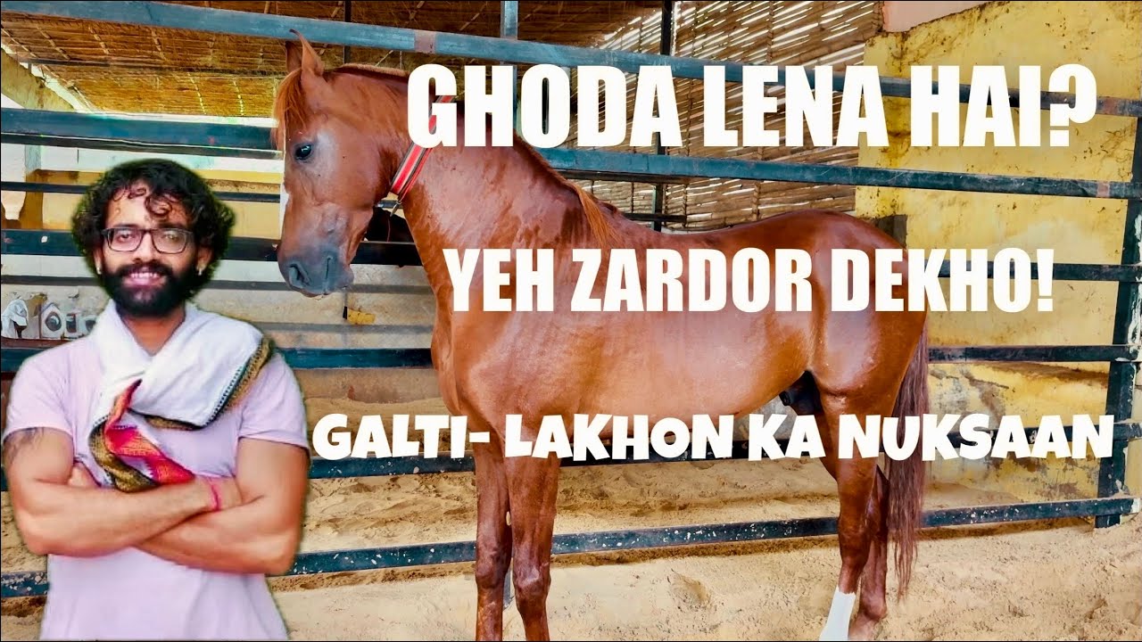 Ghoda Lena Hai? 🐎 To Pehle Yeh Check Karna BAHUT Zaroori Hai! / Sahi ghoda ya nuksaan #horse #pets