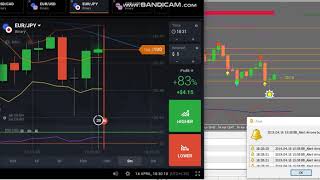 Celebrity HD Binary 07 30 day Challenge Day 30 part 01 (Demo +Real) Trading Net Worth