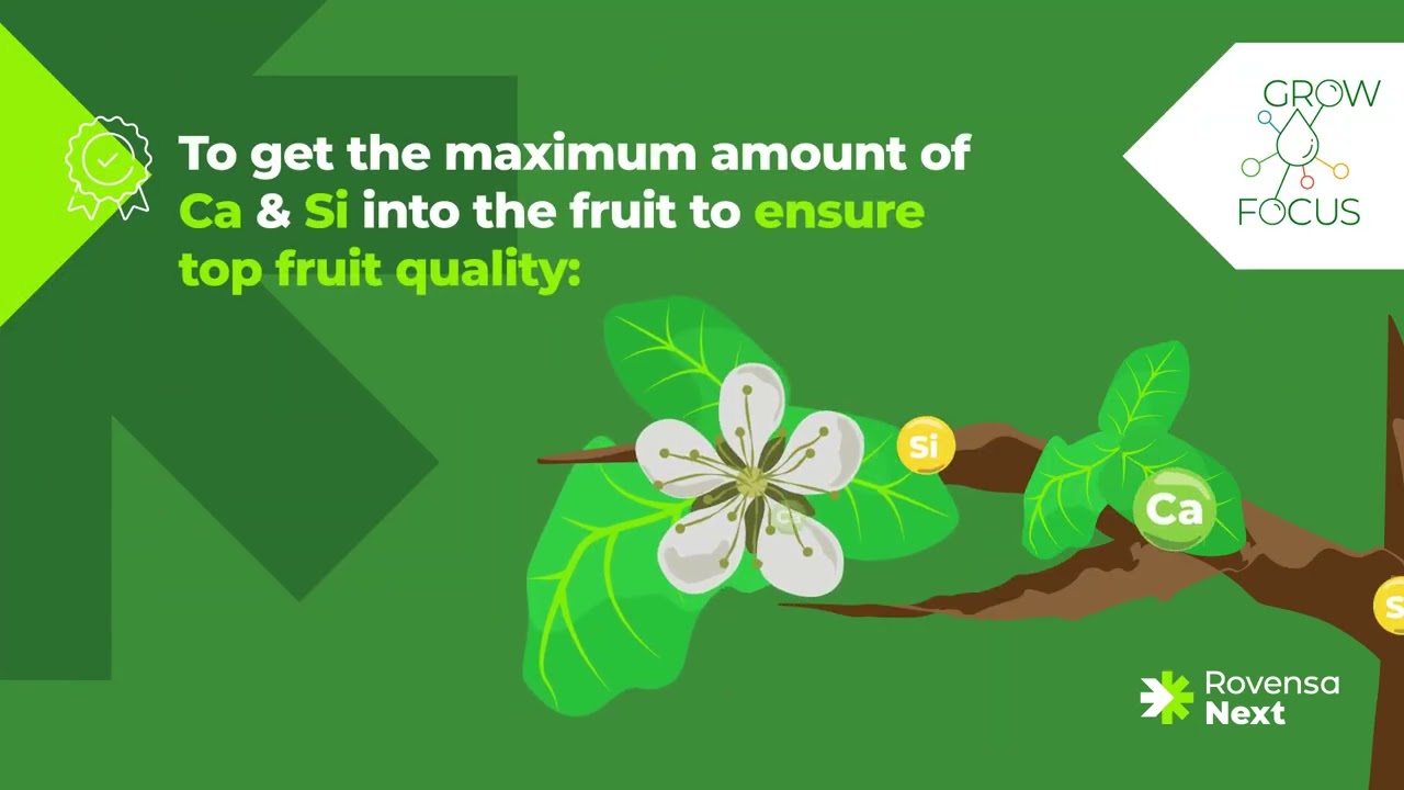 MAINSTAY CA & BARRIER | Improving fruit quality