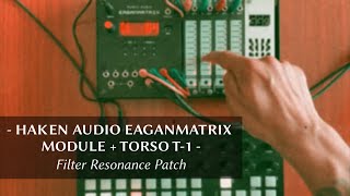 Haken Audio EaganMatrix Module + Torso T-1 - Filter Resonance Patch