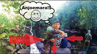 Hoplias Aimara--Trip(Anjoemara) Suriname