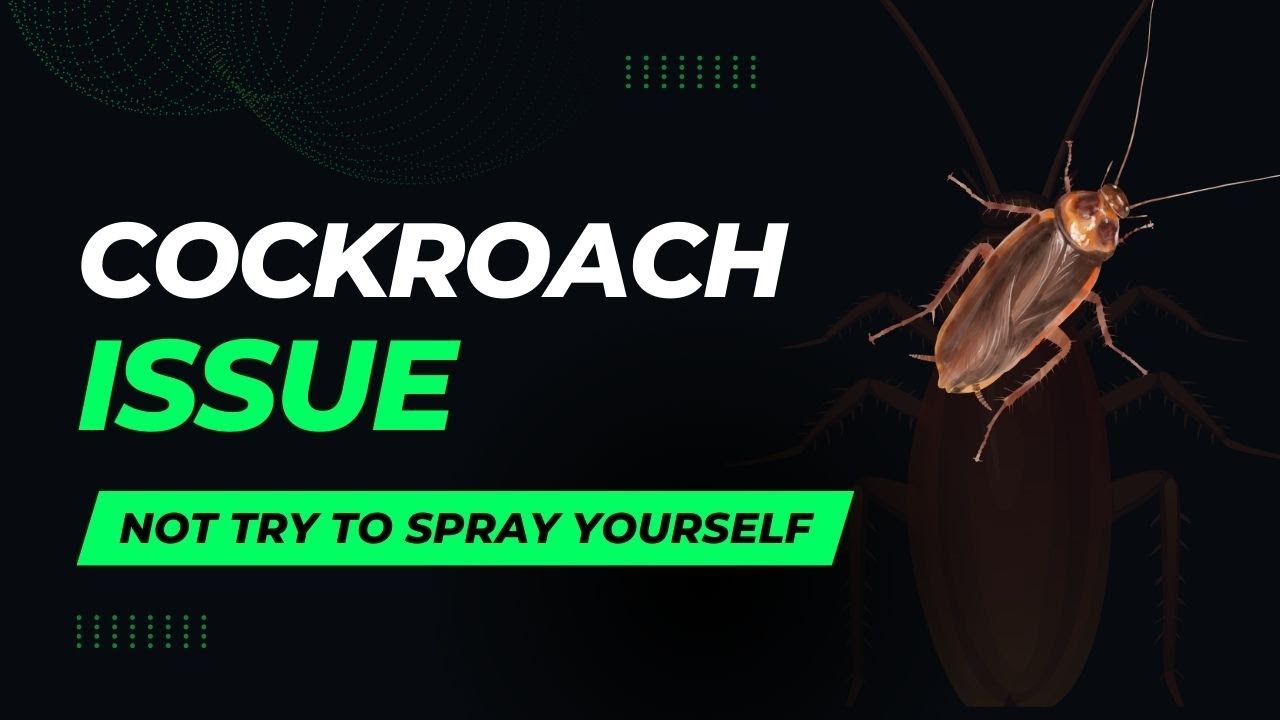 What not to do if I have cockroach infestation