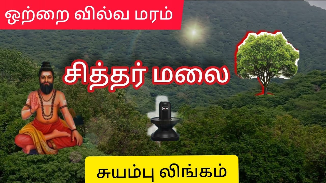 யாருக்கும் தெரியாத  ஒரு மலை - சத்தியமங்கலம் காடு