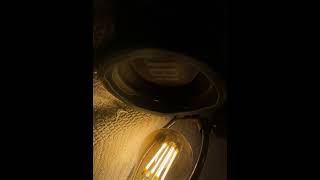 Rip Tl Ii Why Tf Is It Portrait