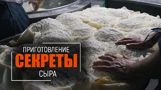 Мои секреты приготовления козьего сыра