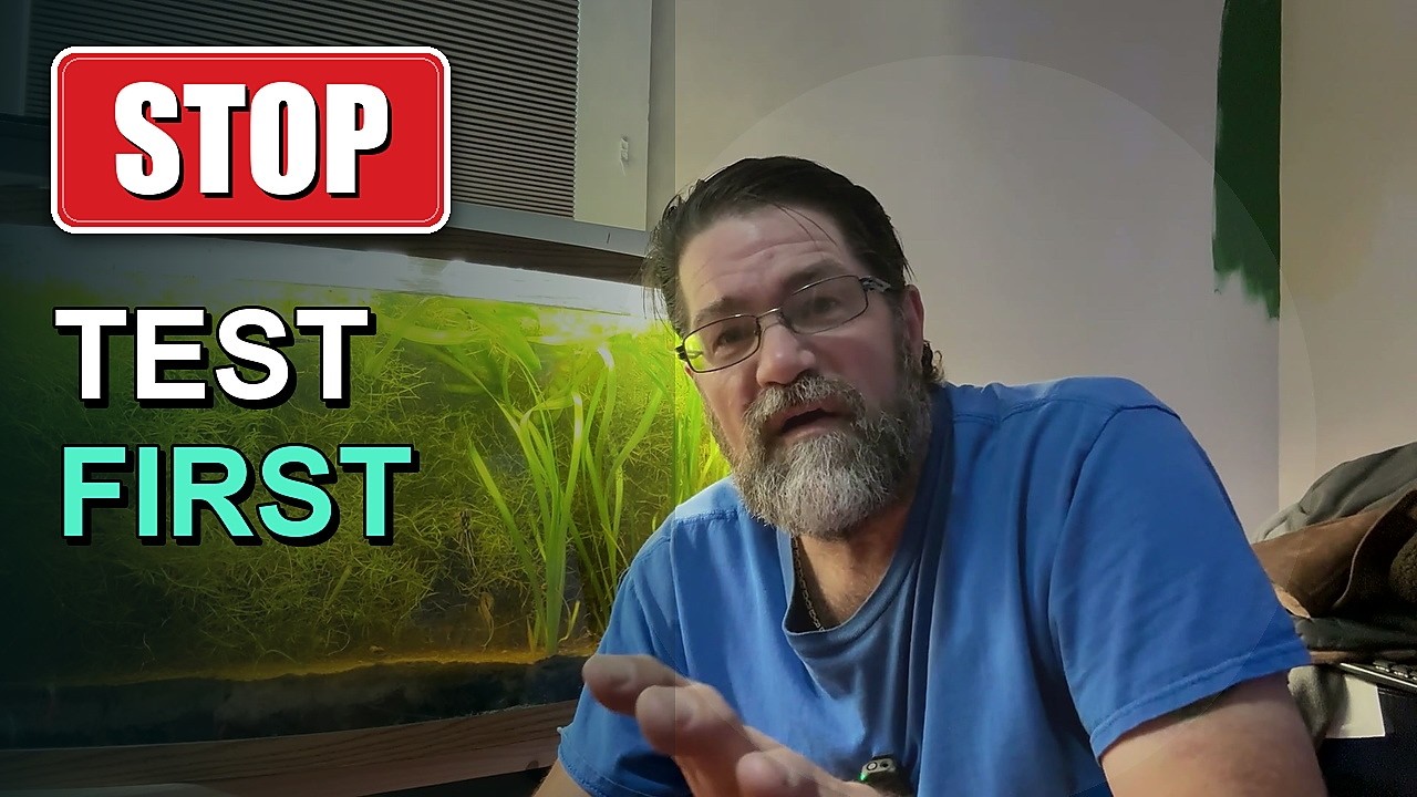 Fish Dying? Do This Before You Change More Water