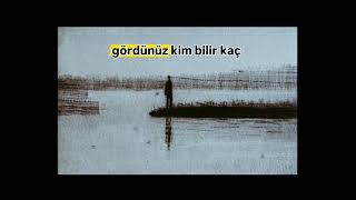 Erguvanlar Geçip Gittiler... Aynalar ve Zaman Şiiri (Hilmi Yavuz)  