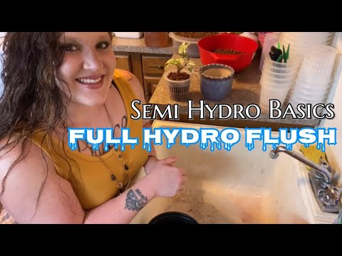 Semi Hydroponic Basics! Full Hydro FLUSH!