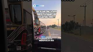 BUS KELUARGA AGAM TUNGGA JAYA #busmania #agamtunggajaya #atj #alieffea #shorts #stj