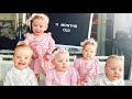 Our Quints Are 11 Months Old! - Little Grandma’s Birthday - Wedding Photos