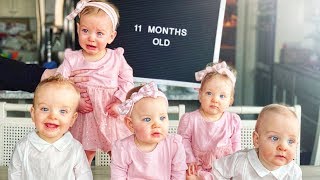 Our Quints Are 11 Months Old! - Little Grandma’s Birthday - Wedding Photos Our Quints Are 11 Months Old! - Little Grandma’s Birthday - Wedding Photos