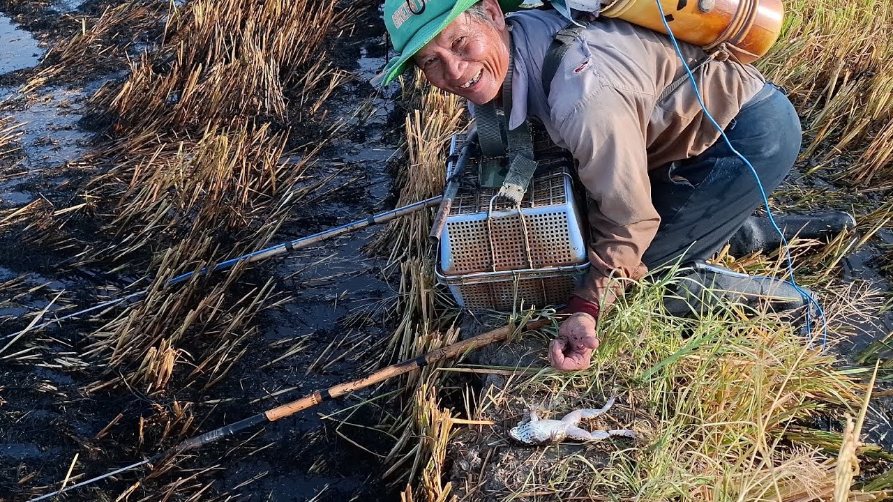 Nay đi trích quá xa, đổi lại trích dính ếch bự không nha chú sáu tét cây 14f cho anh ở Thành phố nha