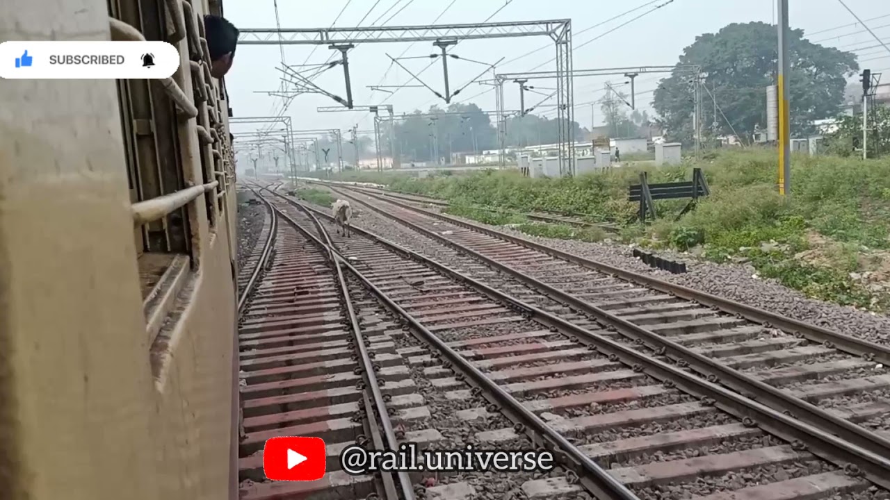 A special train🚂 arriving at Barabanki Junction🚉 | Feel sounds🔊🎧 | 