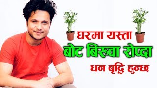 घरमा यस्ता बोट बिरुवा रोप्दा धन बृद्धि हुन्छ || Astro. Harihar Adhikari