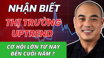Làm sao biết thị trường thực sự vào UPTREND ? Cơ hội từ giờ tới cuối năm