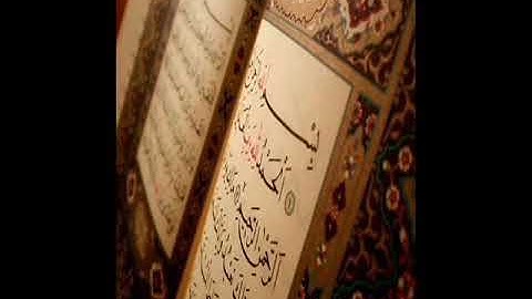 القران الكريم /اجمل تلاوة لسورة نوح بصوت القارئ الشيخ عامر الكاظمي