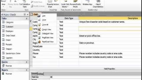 The different views of objects in the Access application