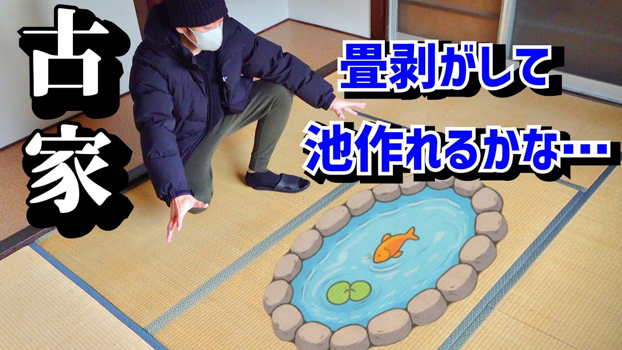 生き物屋敷を作りたくて古い民家を買いました。