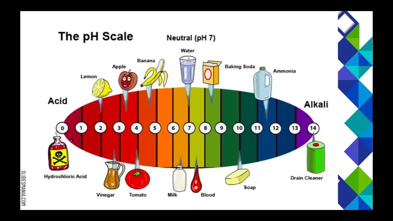 Кислотность почвы 2,5. Кислотность бананов. Шкала кислотности ph. Ph продуктов питания таблица. Шкала рн среды водородный показатель.