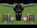 ender dragon + axolotls = ???