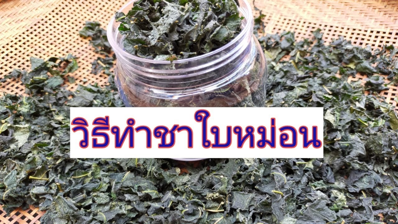 วิธีทำชาใบหม่อนไว้กินเอง,ชาใบหม่อนลดความดัน,ลดน้ำตาล,ลดไขมันในเส้นเลือด