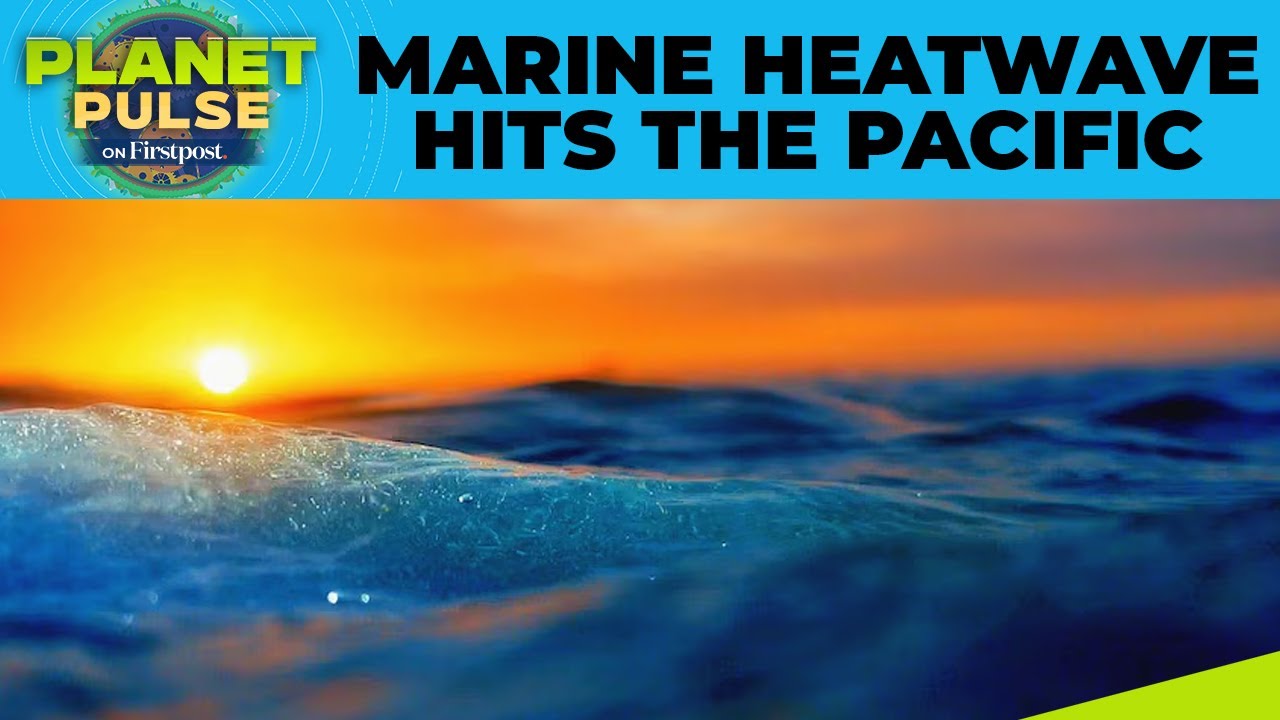 От Японии до США: рекордная морская волна тепла охватила Тихий океан | Planet Pulse | N18G