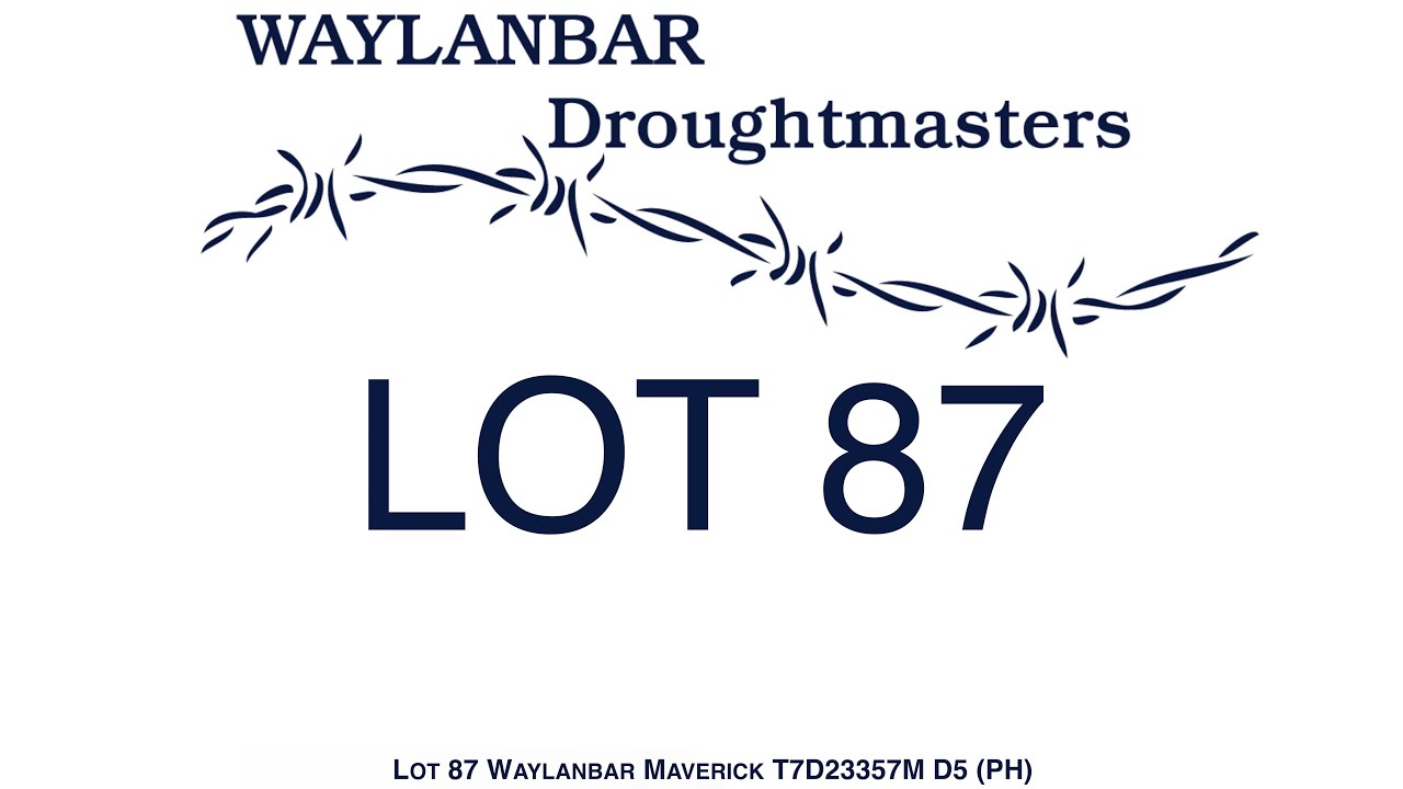 Lot 87 Waylanbar Maverick T7D23357M D5 (PH)