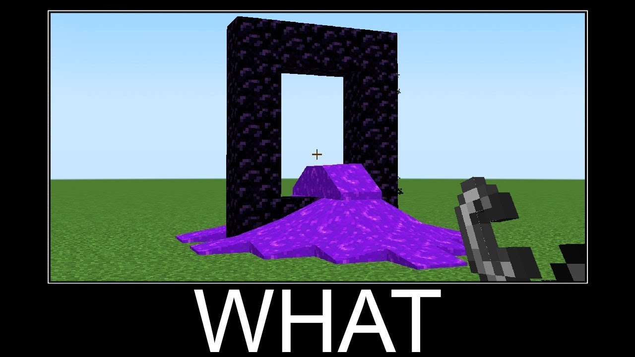 Minecraft WAIT WHAT meme #89 - YouTube