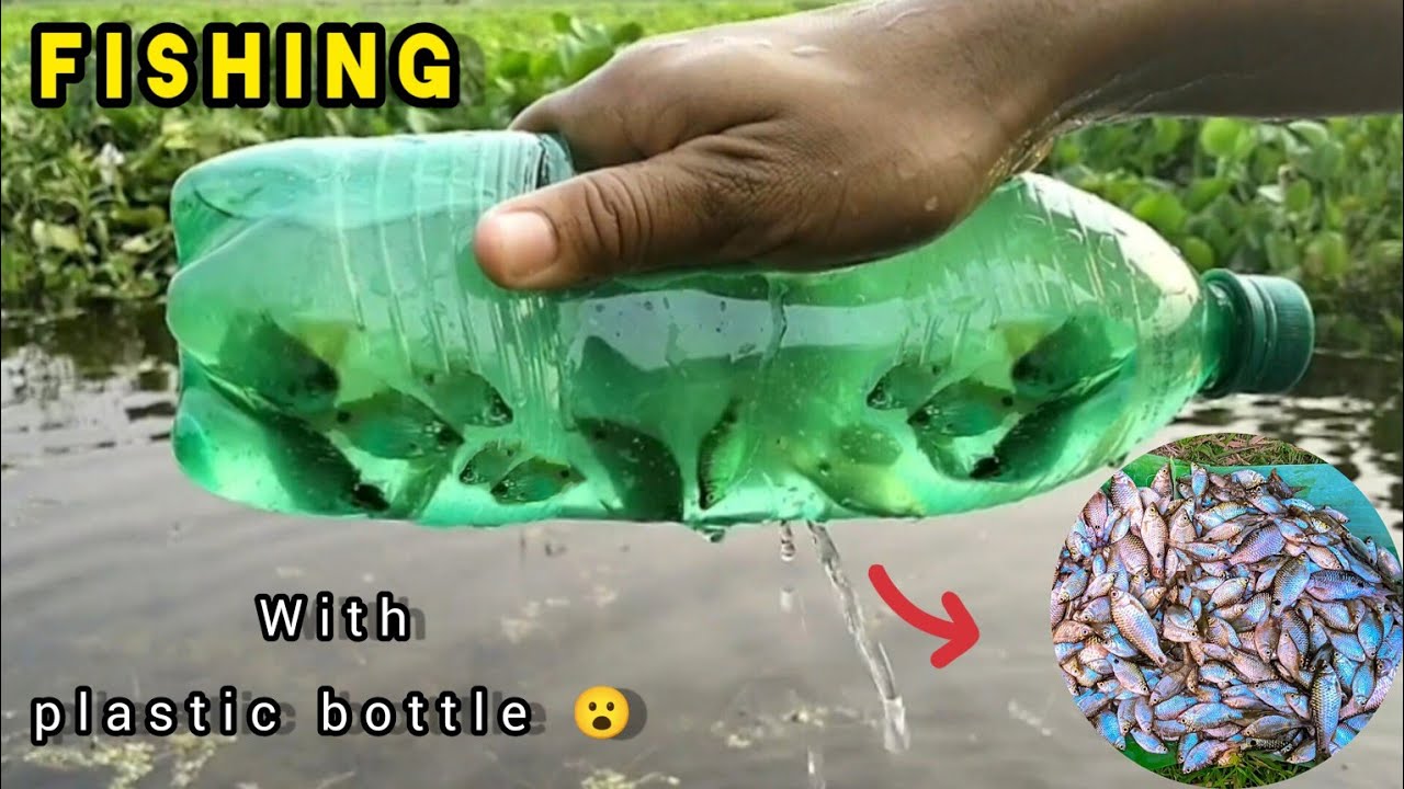DIY - MAKING BOTTLE FISH TRAP 🐟 How To Make Bottle Fish Trap, Easy fishing trap (Crafts ideas)