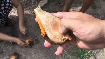 Cách ăn dừa nước của người miền tây mà không phải ai cũng biết