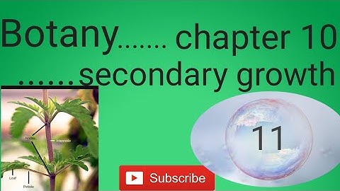 11 botany chapter 10 secondary growth book back question and government exam questions