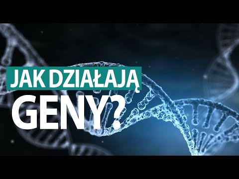 Jak powstają rodziny genów?