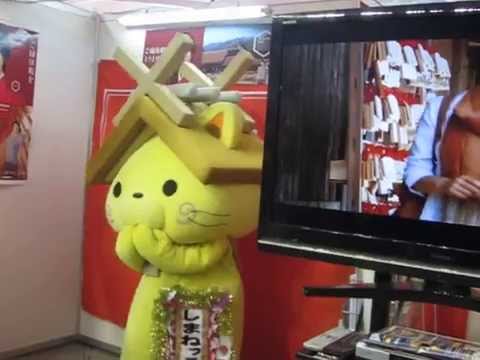 2015/１/15　ふるさと祭り東京　島根県ブース　しまねっこ②