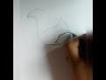 #Squirrel Tutorial