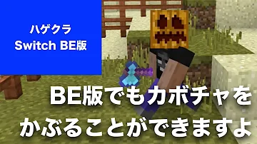 تحميل マイクラ かぼちゃ かぶる