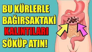 BU KÜRLERLE BAĞIRSAKTAKİ KALINTILARI SÖKÜP ATIN! ÇOK ETKİLİ KOLON TEMİZLİĞİ