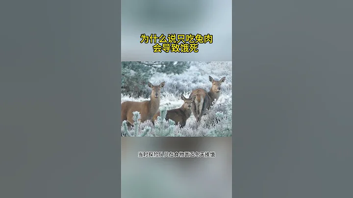 為什麼說只吃兔肉會導致餓死  #人體冷知識 #減肥 #動物科普 #科學科普 #冷知識 - 天天要聞