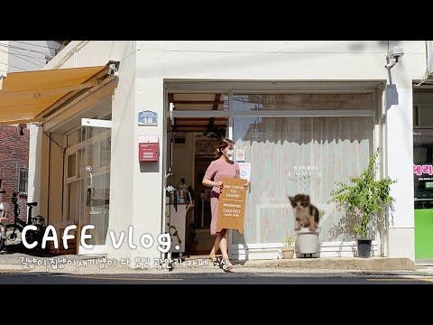 (<strong>ENG</strong>) <strong>CAFE</strong> VLOG / 고양이 복터진 카페 일상..우리집 고양이,갑분 새끼고양이, 단골 고양이손님들🐱밀크티와 쑥라떼 출시, 새로운 유리컵과 식물 또 샀음.