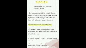BREATHING & EXCHANGE OF GASES Notes Class:11 NEET short notes #shorts  #neet2022  ⚕️☀️